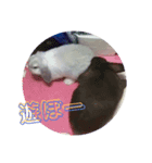 うさぎのはじめ（個別スタンプ：4）