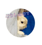 うさぎのはじめ（個別スタンプ：8）