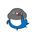 Radishの鳥友人（個別スタンプ：5）