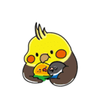 Radishの鳥友人（個別スタンプ：11）