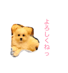 そぼろスタンプ 2（個別スタンプ：1）