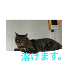 靴下戦隊02（個別スタンプ：7）