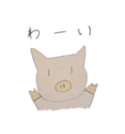 鼻が黄色いブタ（個別スタンプ：1）