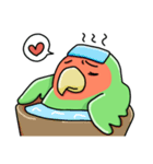 コザクラインコちゃん（個別スタンプ：4）