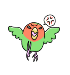 コザクラインコちゃん（個別スタンプ：10）