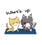 猫と一緒にヨガをやりましょう！（個別スタンプ：4）