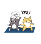 猫と一緒にヨガをやりましょう！（個別スタンプ：8）
