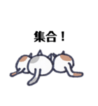 ゆるカワな猫（個別スタンプ：5）