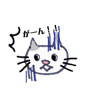 ゆるカワな猫（個別スタンプ：13）
