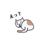 ゆるカワな猫（個別スタンプ：15）