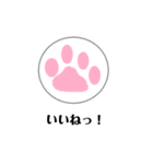 ゆるカワな猫（個別スタンプ：16）