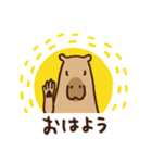 毎日使えるカピバラスタンプ（個別スタンプ：1）