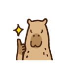 毎日使えるカピバラスタンプ（個別スタンプ：3）