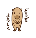 毎日使えるカピバラスタンプ（個別スタンプ：5）