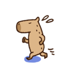 毎日使えるカピバラスタンプ（個別スタンプ：7）