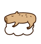 毎日使えるカピバラスタンプ（個別スタンプ：18）