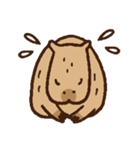 毎日使えるカピバラスタンプ（個別スタンプ：20）