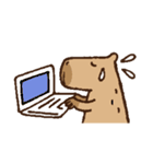 毎日使えるカピバラスタンプ（個別スタンプ：22）