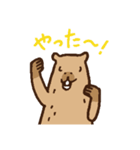 毎日使えるカピバラスタンプ（個別スタンプ：25）