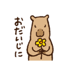 毎日使えるカピバラスタンプ（個別スタンプ：35）