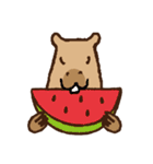 毎日使えるカピバラスタンプ（個別スタンプ：37）