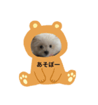 ミックス犬のジロー君（個別スタンプ：3）
