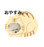 ミックス犬のジロー君（個別スタンプ：4）