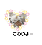 ミックス犬のジロー君（個別スタンプ：28）