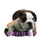 仕事用に使用できます！（個別スタンプ：8）