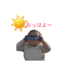 内田しすたーず  : )（個別スタンプ：40）