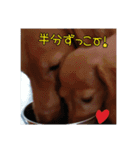 サンゴ＆イチゴ（個別スタンプ：1）