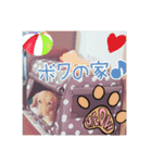 サンゴ＆イチゴ（個別スタンプ：5）