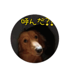サンゴ＆イチゴ（個別スタンプ：7）