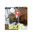 サンゴ＆イチゴ（個別スタンプ：9）