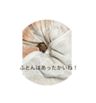 ダックスの呟き（個別スタンプ：4）