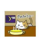 飲食大好き猫（個別スタンプ：12）