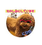 ウチの子スタンプMOPUN＆LOVEと時々…大福②（個別スタンプ：1）