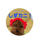 ウチの子スタンプMOPUN＆LOVEと時々…大福②（個別スタンプ：4）