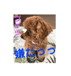 ウチの子スタンプMOPUN＆LOVEと時々…大福②（個別スタンプ：7）