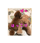 ウチの子スタンプMOPUN＆LOVEと時々…大福②（個別スタンプ：11）