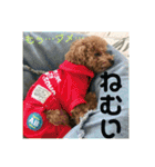 ウチの子スタンプMOPUN＆LOVEと時々…大福②（個別スタンプ：15）