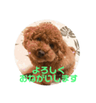 ウチの子スタンプMOPUN＆LOVEと時々…大福②（個別スタンプ：17）