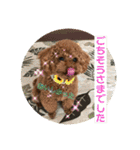 ウチの子スタンプMOPUN＆LOVEと時々…大福②（個別スタンプ：18）