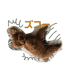 ウチの子スタンプMOPUN＆LOVEと時々…大福②（個別スタンプ：21）