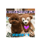 ウチの子スタンプMOPUN＆LOVEと時々…大福②（個別スタンプ：22）