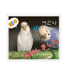 ウチの子スタンプMOPUN＆LOVEと時々…大福②（個別スタンプ：23）