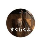 猫次郎のつぶやき①（個別スタンプ：32）