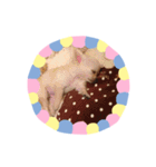 わんこinわんこ（個別スタンプ：5）