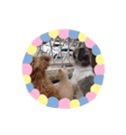わんこinわんこ（個別スタンプ：7）