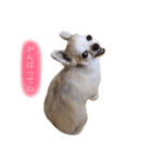 Loveの日常（個別スタンプ：10）